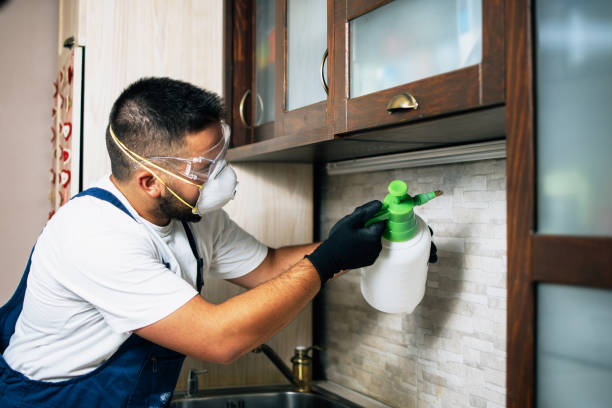 Best Emergency Pest Control  in Rockaway Beach, OR