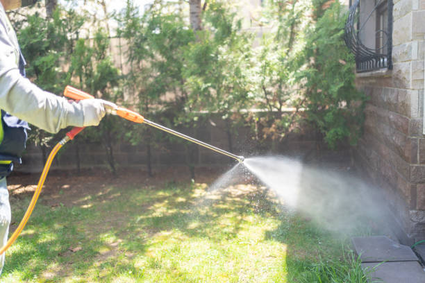 Best Pest Control Near Me  in Rockaway Beach, OR
