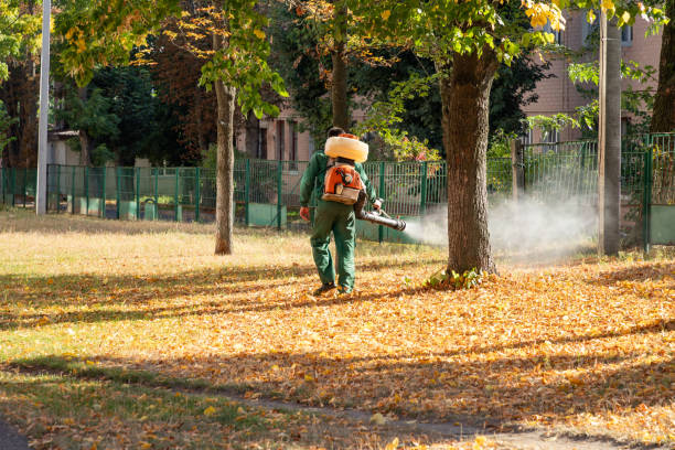 Best Mosquito Control Services  in Rockaway Beach, OR