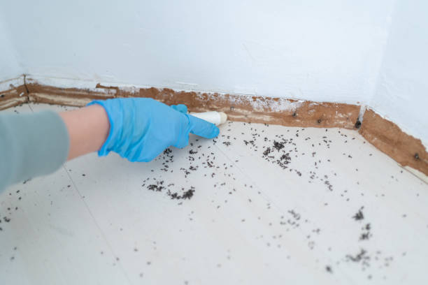 Best Best Pest Control Companies  in Rockaway Beach, OR